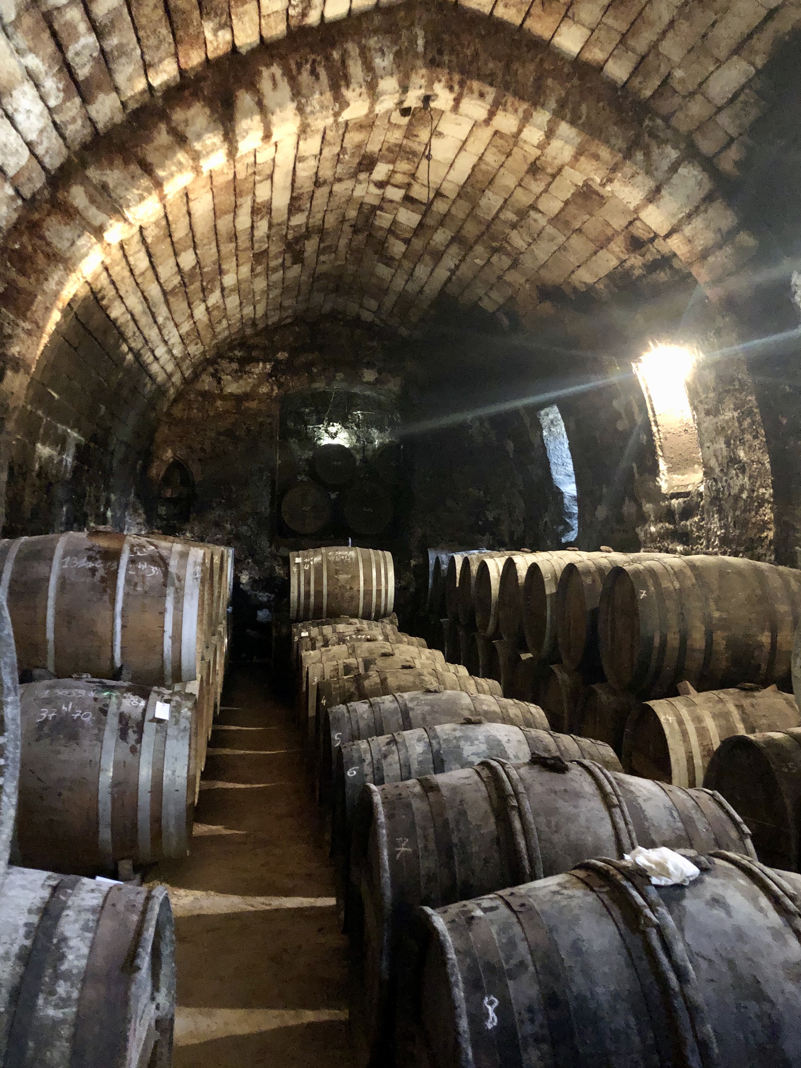 Secrets of Cognac