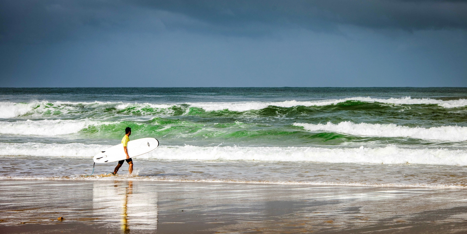 Surf